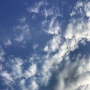 Meet your Posher, Kayden